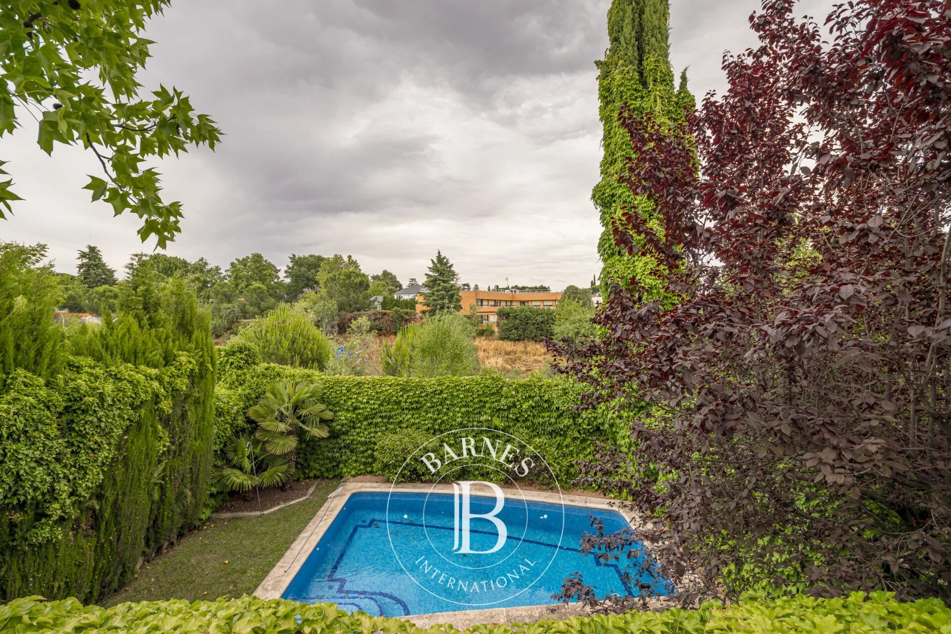 Ev Madrid - picture 28