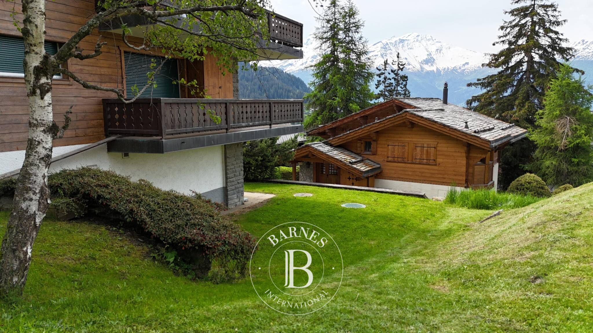 Daire Verbier - picture 16