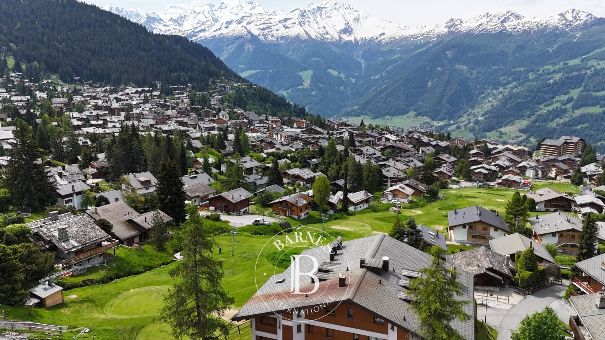 Daire Verbier - picture 13