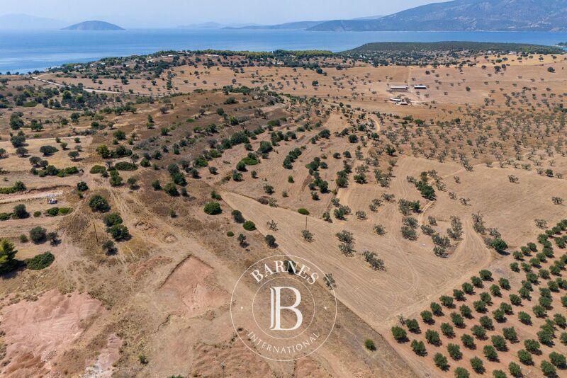 À vendre Terrain constructible | Argolida - picture 2