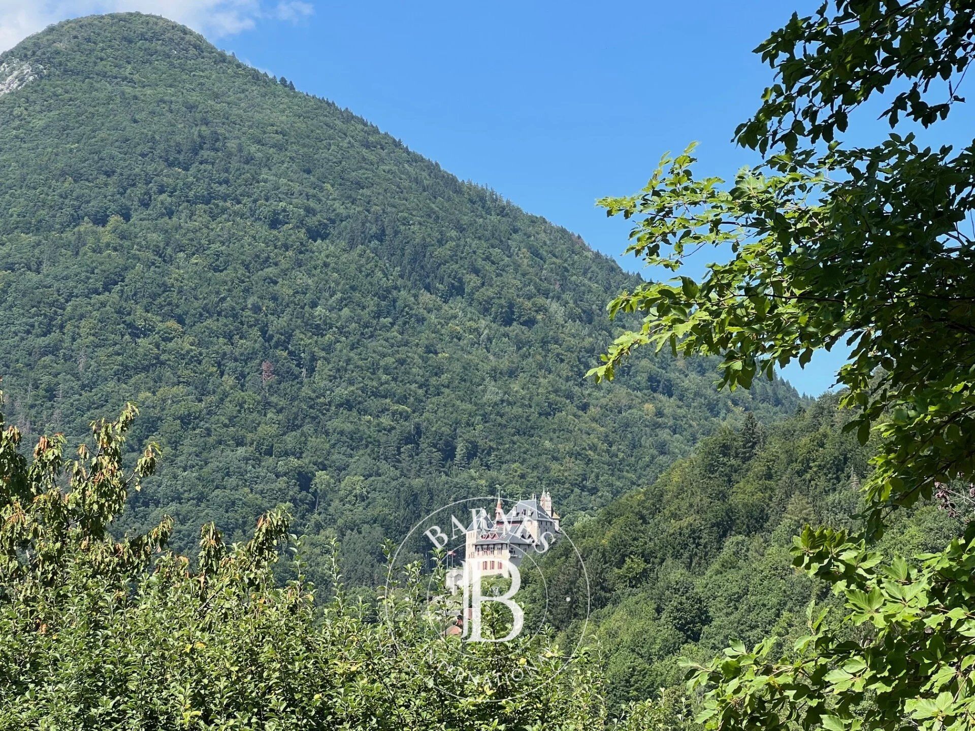 BARNES ANNECY - MENTHON ST BERNARD  :  TERRAIN CONSTRUCTIBLE  VUE LAC - picture 3