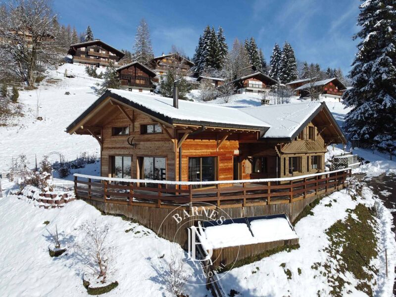 Magnifique chalet de 7.5 pièces avec vue imprenable sur les montagnes