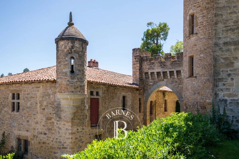 À vendre Château | Saint-Rome-de-Cernon - picture 3