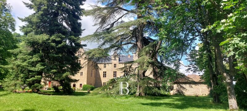 For Sale Castle | Millau - picture 1
