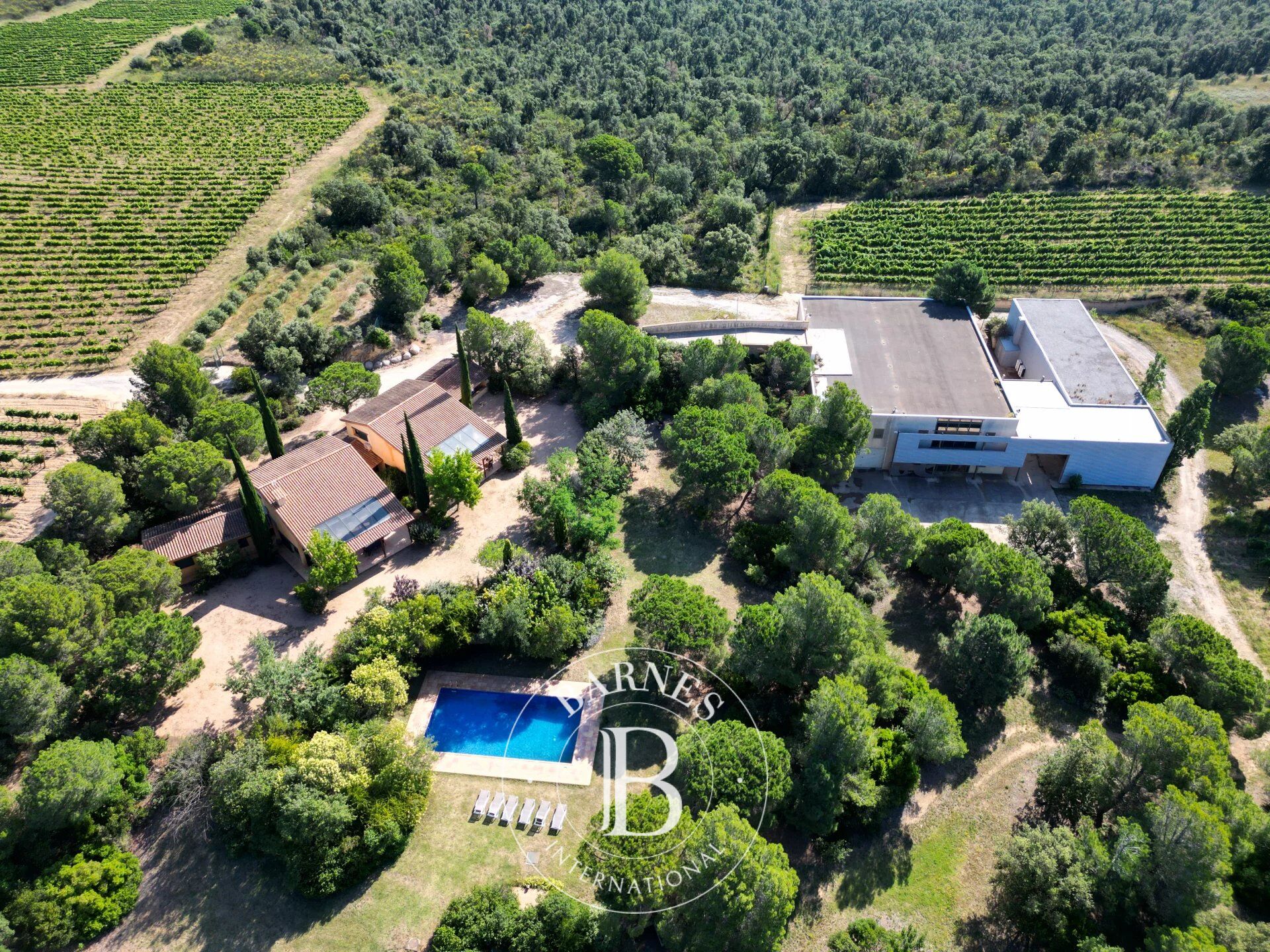 Exclusiva Finca con Dos Casas y Bodega Rodeada de 8 Hectáreas de Viñedos en el Alt Empordà, Costa Brava. - picture 1
