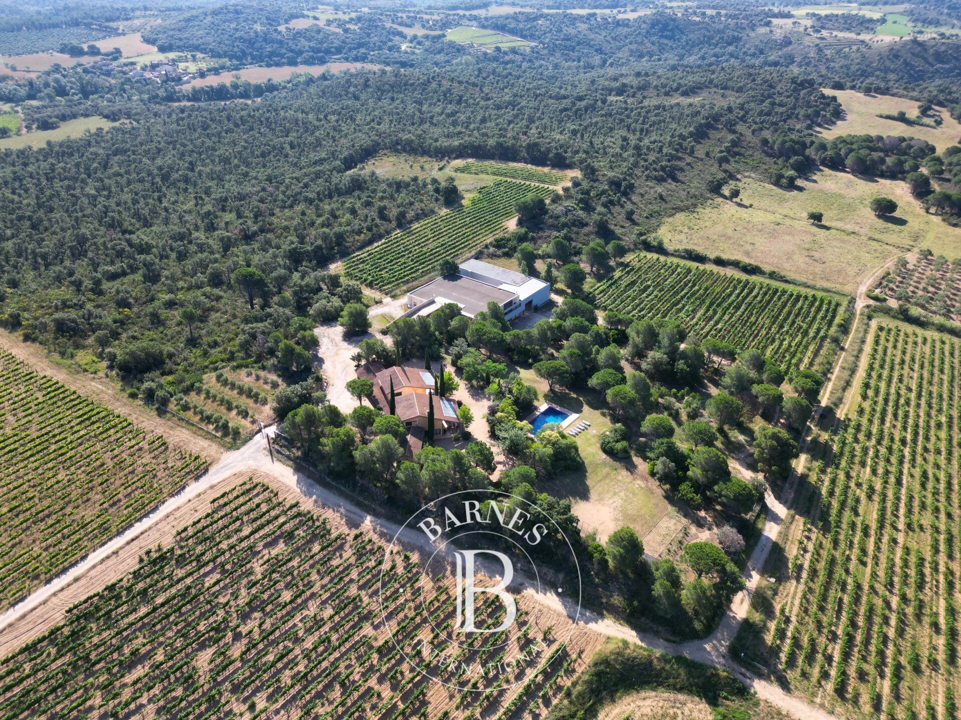 Exclusiva Finca con Dos Casas y Bodega Rodeada de 8 Hectáreas de Viñedos en el Alt Empordà, Costa Brava. - picture 3
