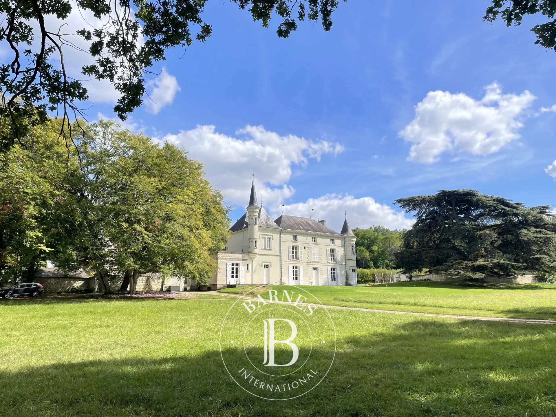 Castello Availles-en-Châtellerault - picture 1