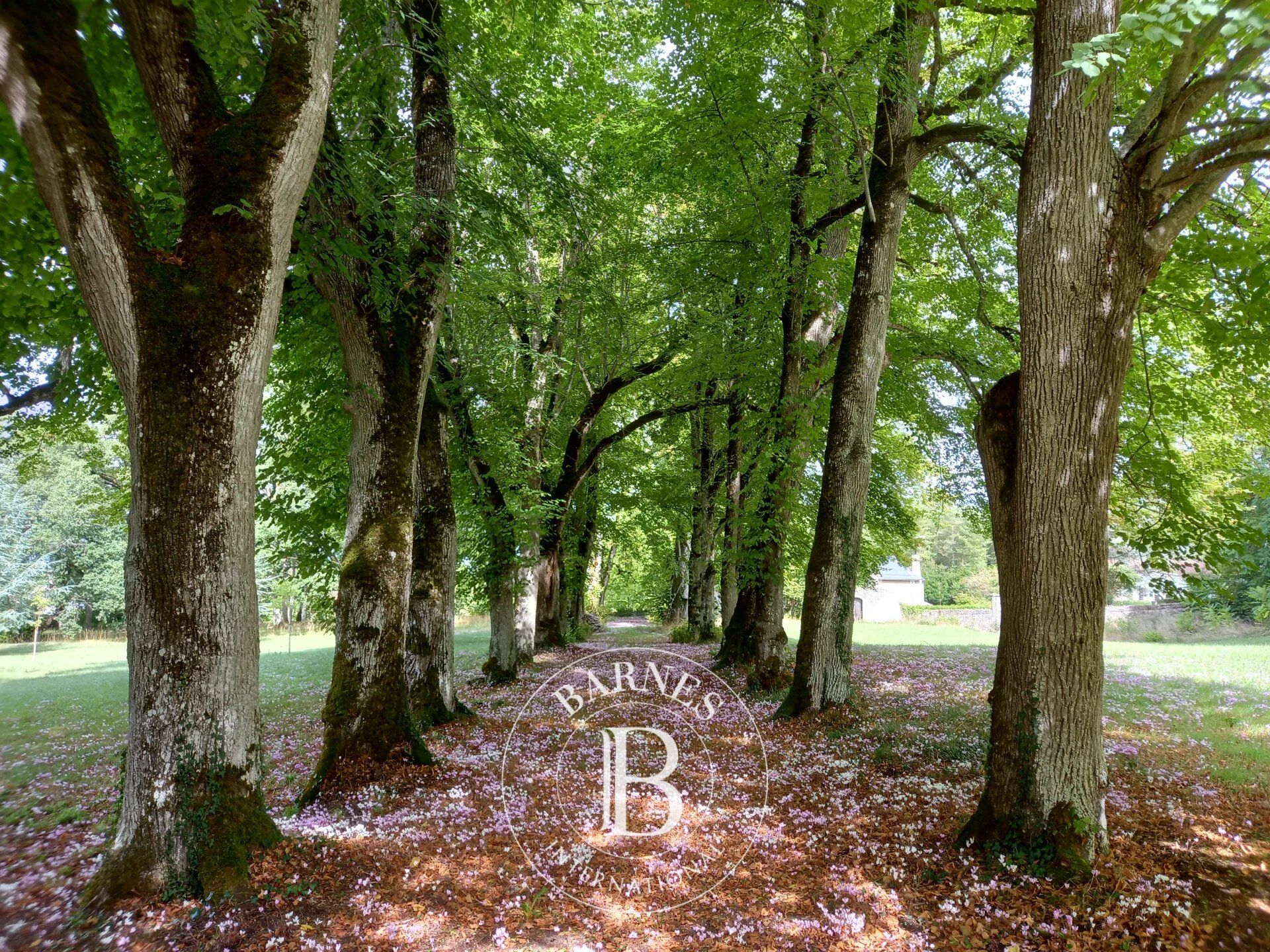 Castello Availles-en-Châtellerault - picture 3