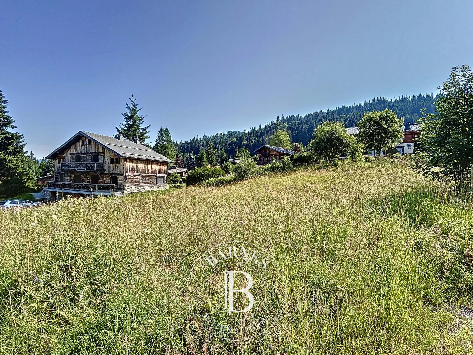 Arazi Les Gets - picture 6