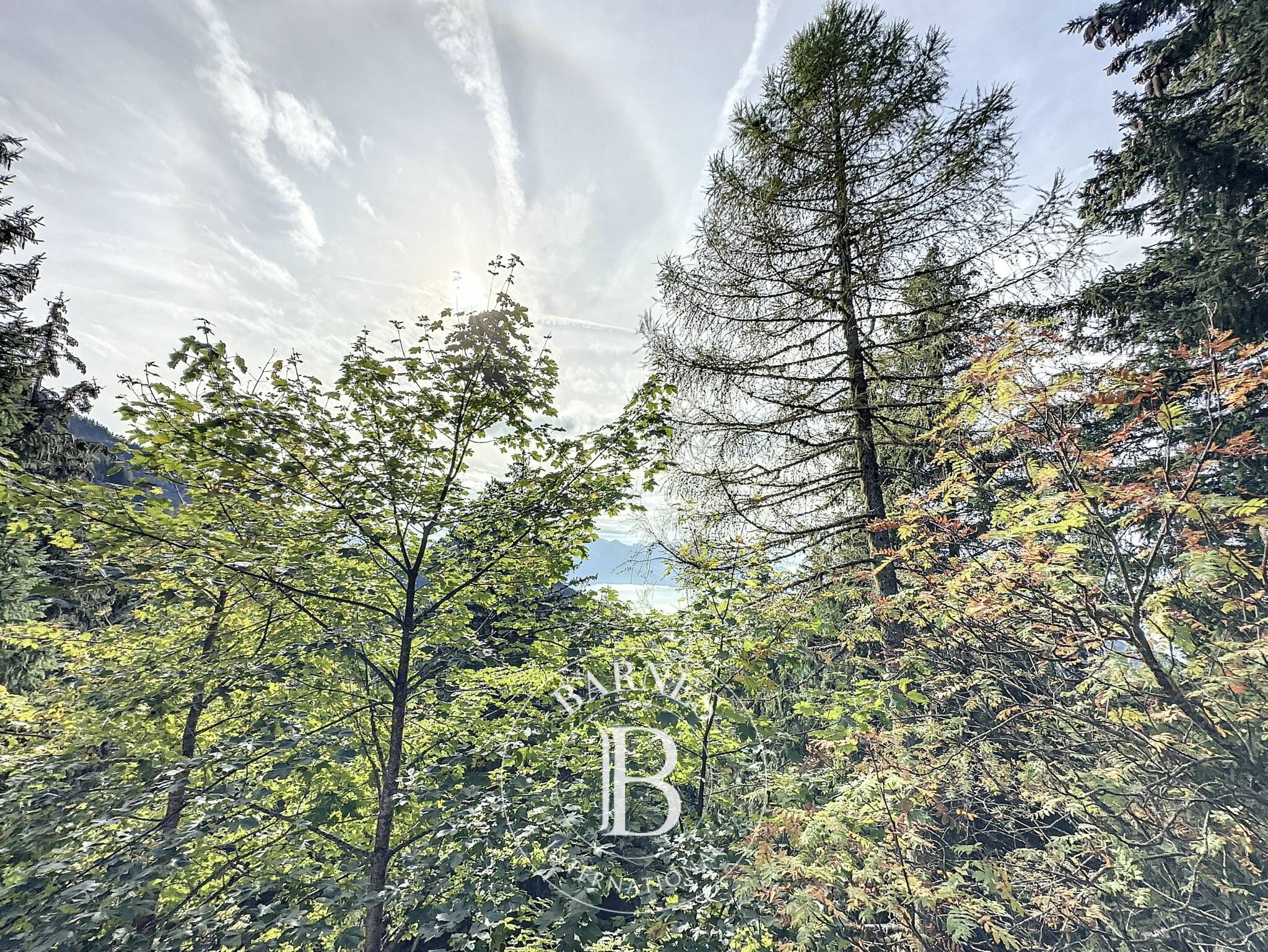 Villa Montreux - picture 16