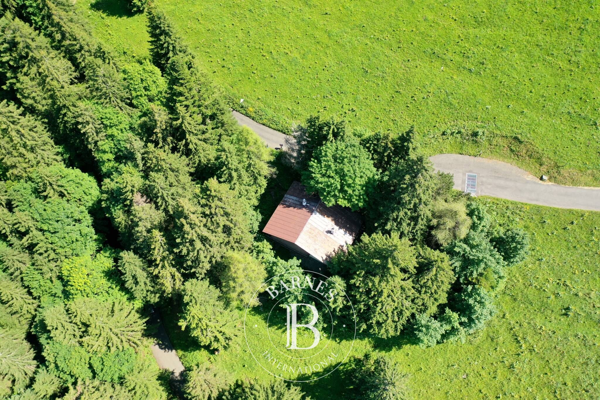 Villa Montreux - picture 8