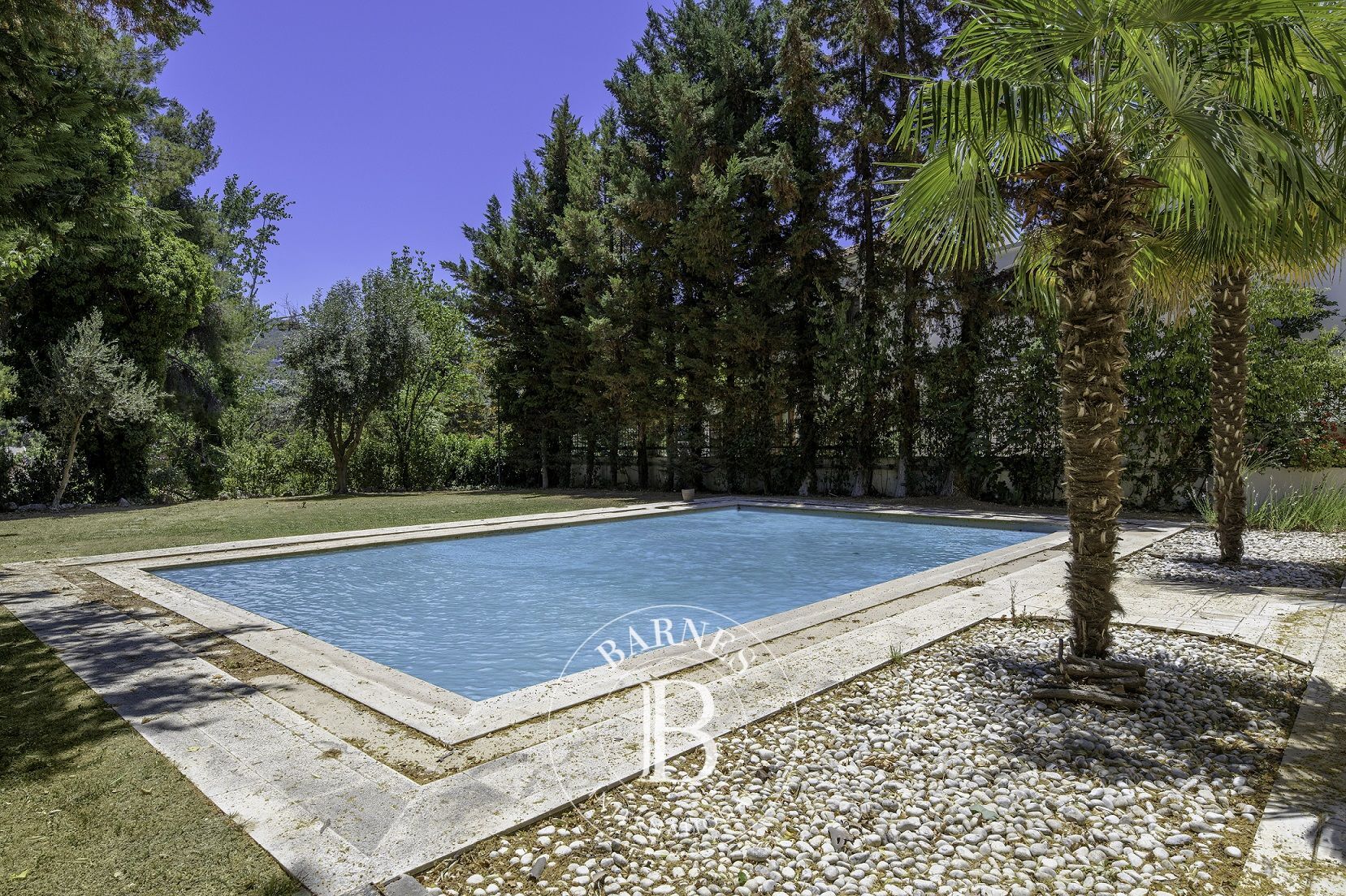 Ev Ekali - picture 11