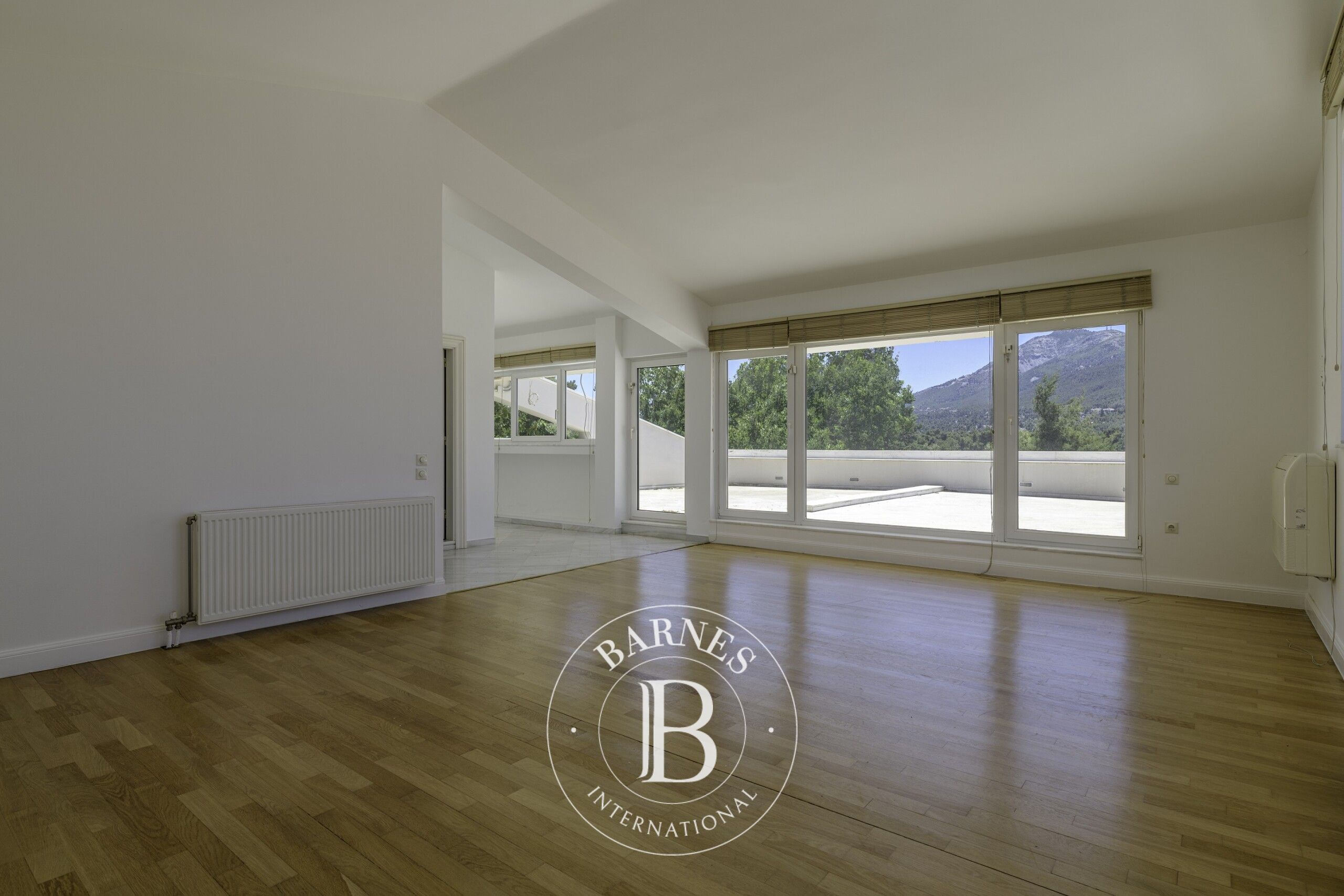 Ev Ekali - picture 7