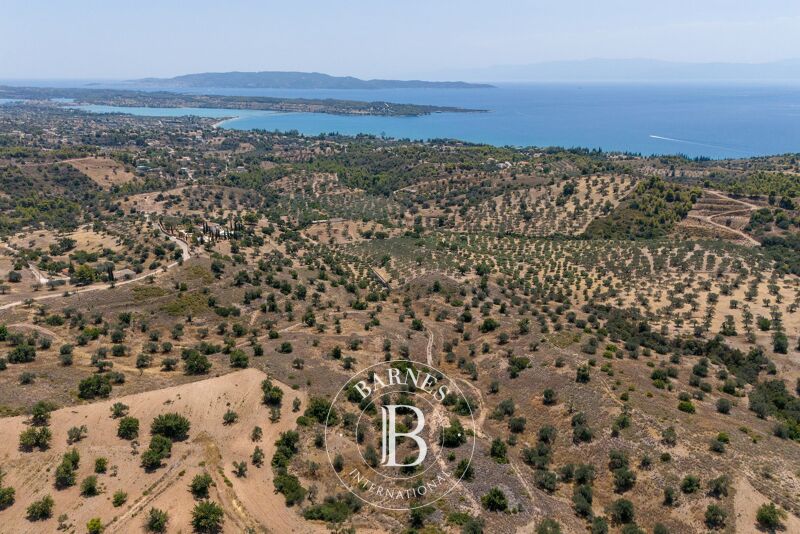 À vendre Terrain constructible | Argolida - picture 2