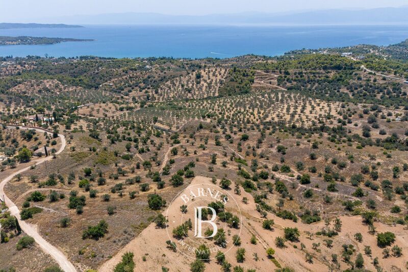 À vendre Terrain constructible | Argolida - picture 1