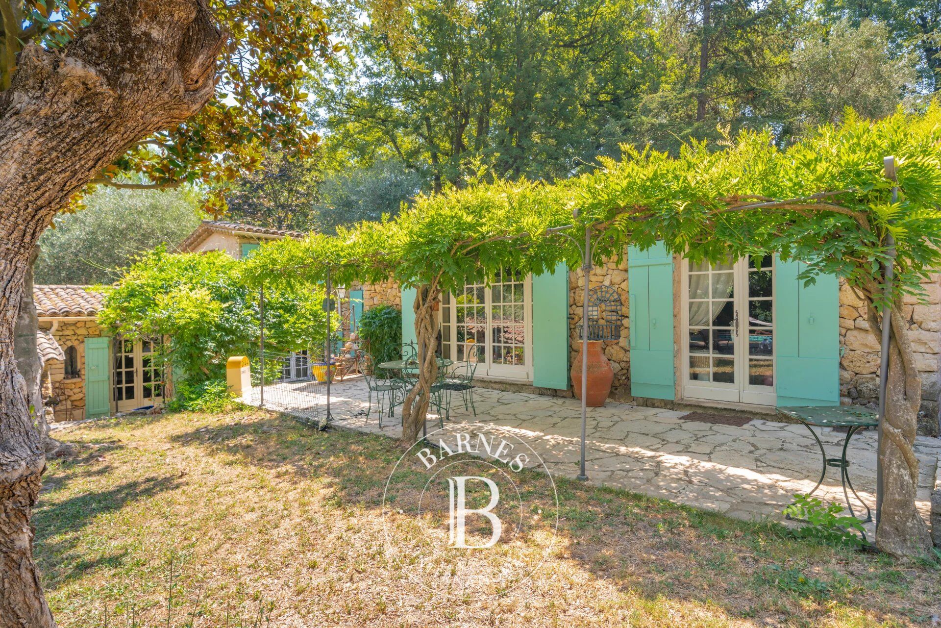 Ev Opio - picture 12