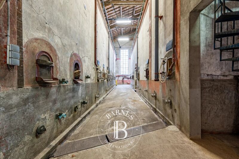 Venta, Viñedo Capendu - picture 2