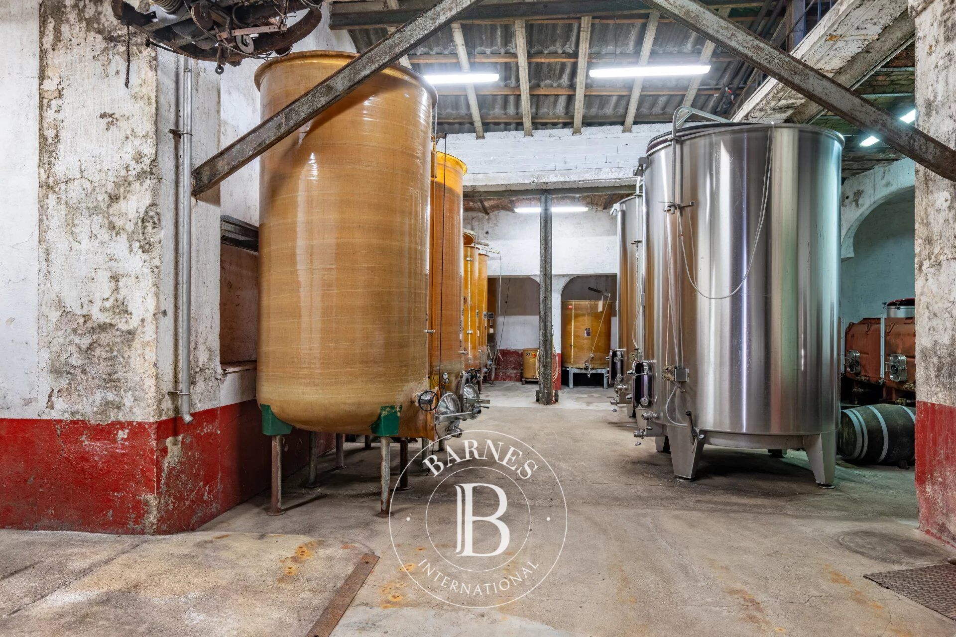 Viñedo Capendu - picture 3