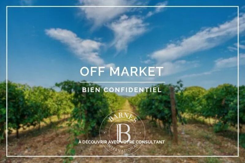 Venta, Viñedo Capendu - picture 1