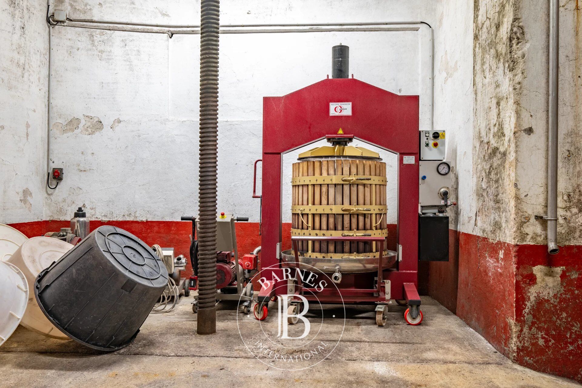 Viñedo Capendu - picture 3