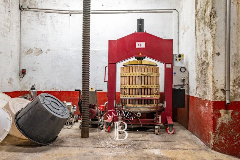 For Sale, Vineyard property Capendu - picture 3