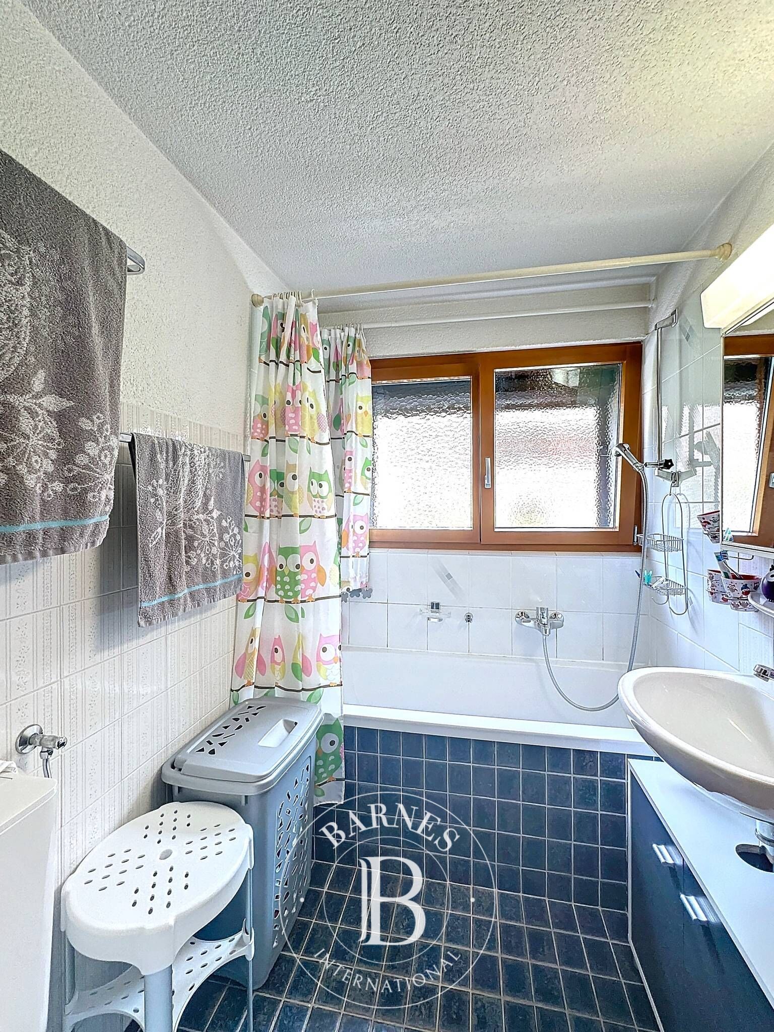 Daire Verbier - picture 6