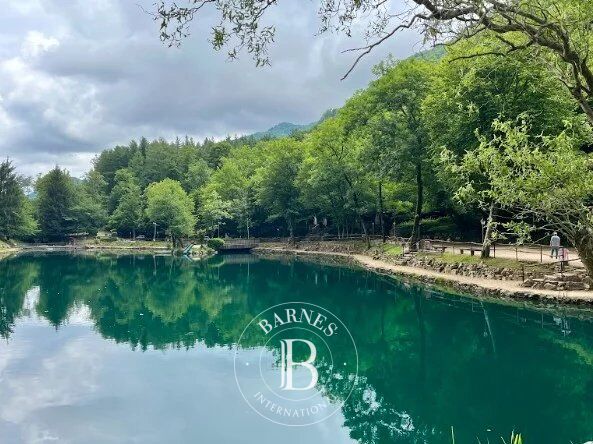 Malikane Valganna - picture 24