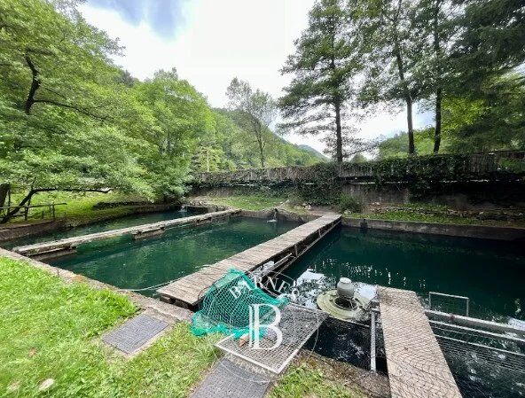 Malikane Valganna - picture 21