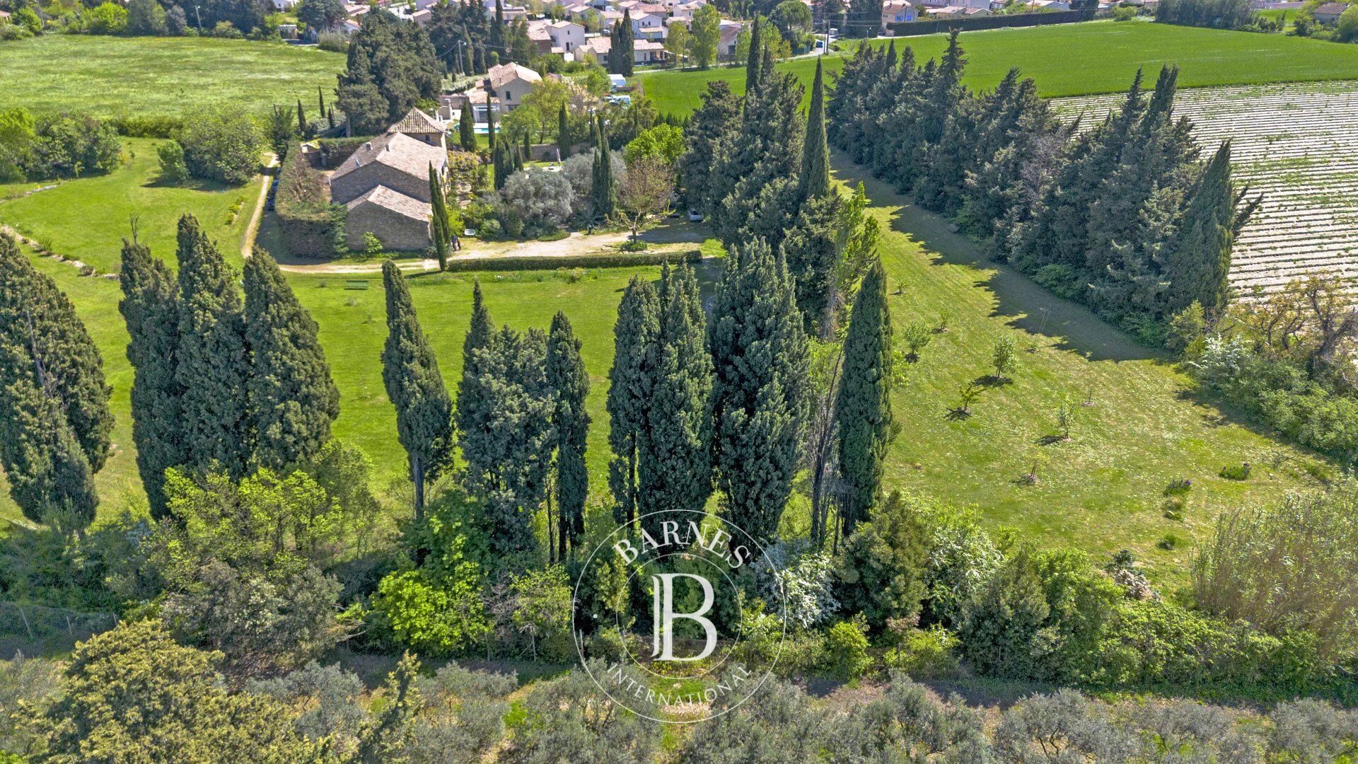 Masía Orange - picture 2