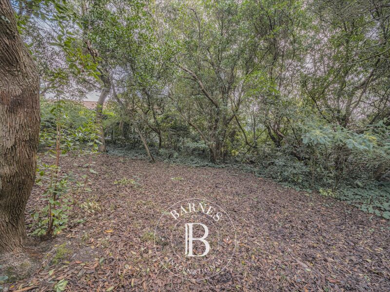 Vendido, Casa Cap-Ferret - picture 2