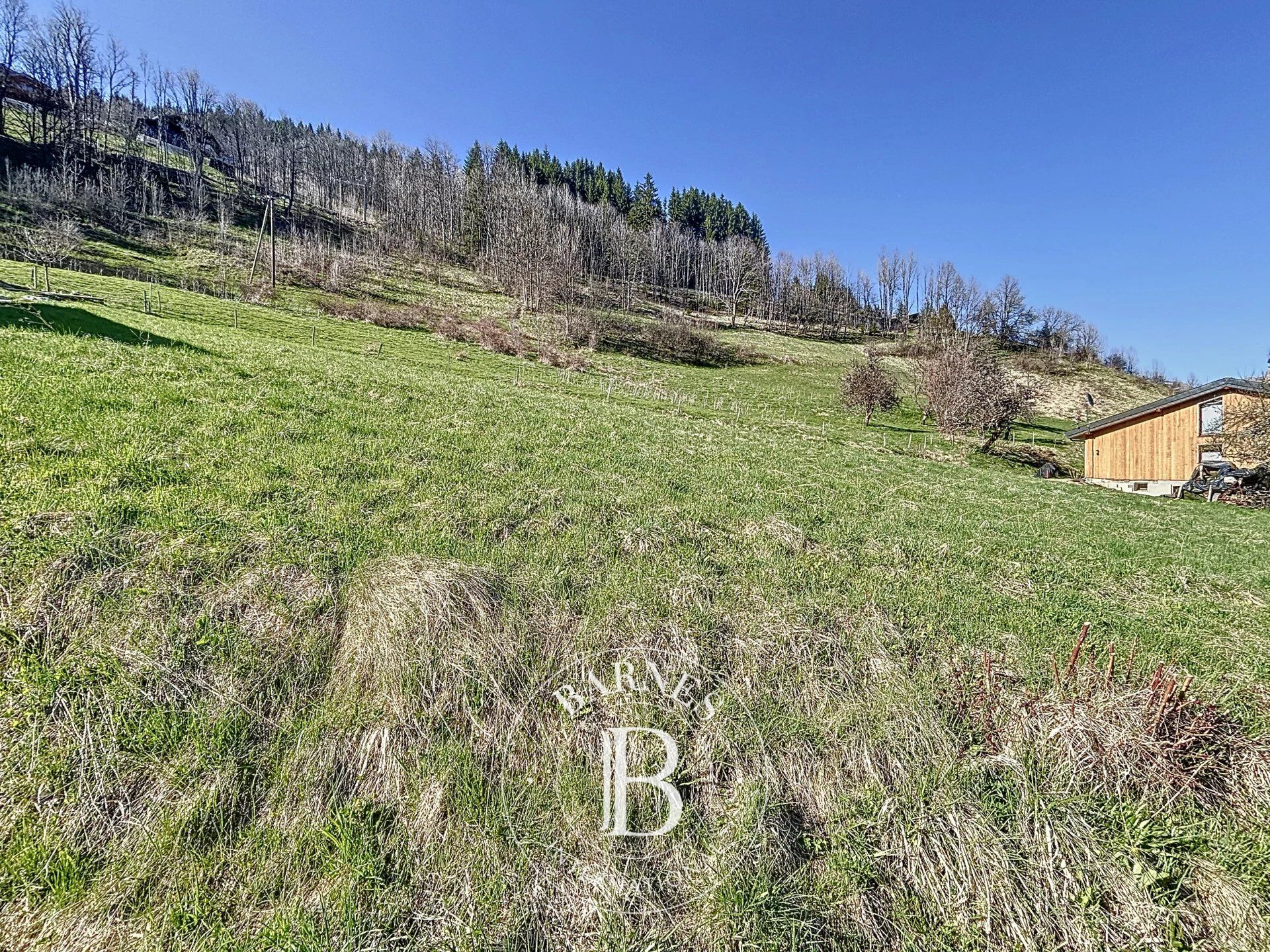 Arazi La Côte-d'Arbroz