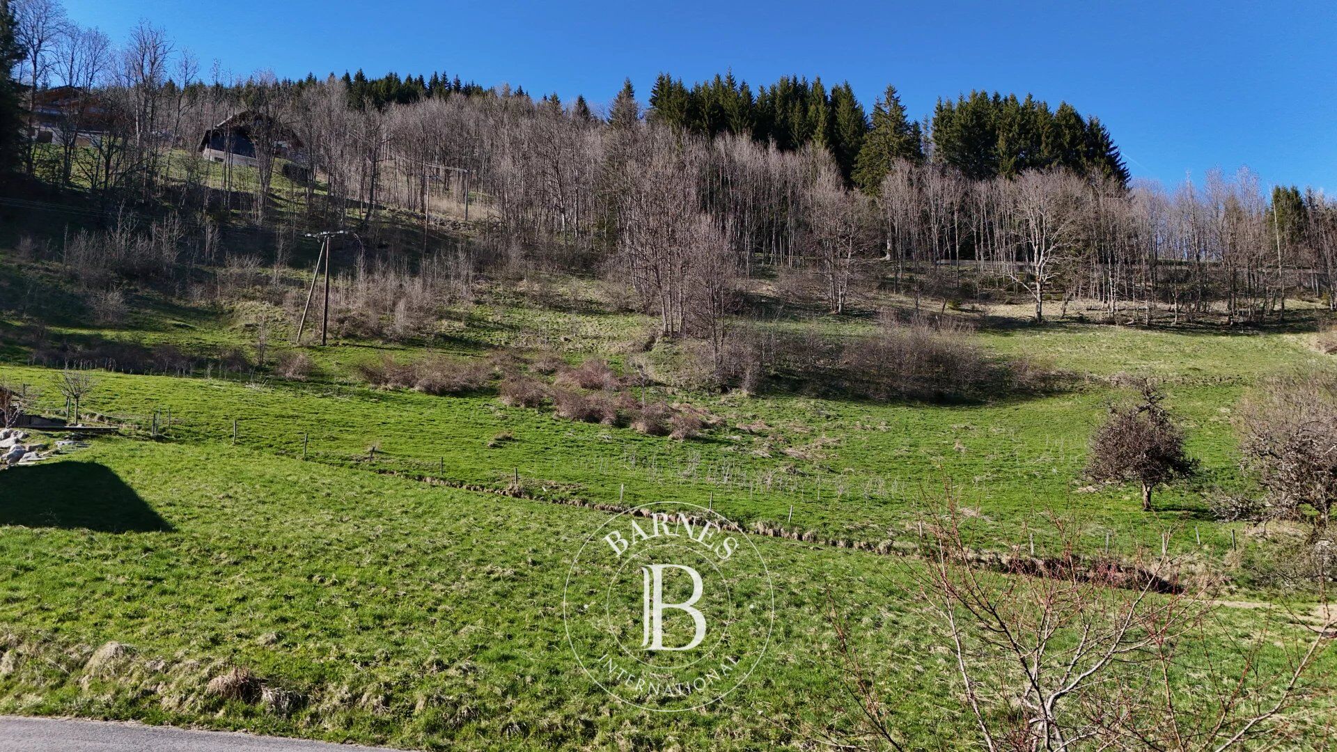 Arazi La Côte-d'Arbroz - picture 4