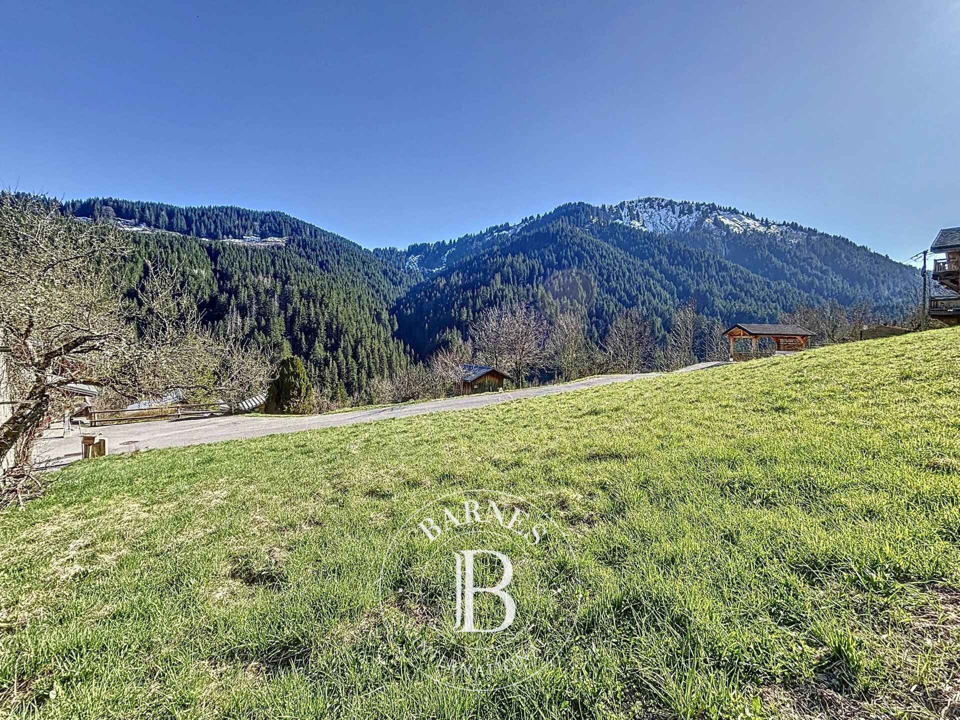 Arazi La Côte-d'Arbroz