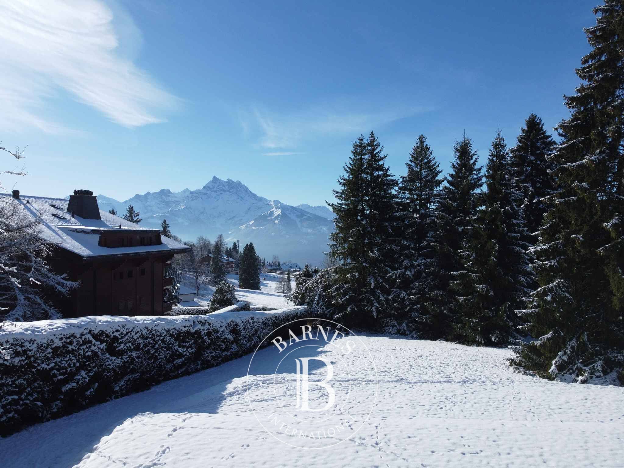 Villa Villars-sur-Ollon - picture 28