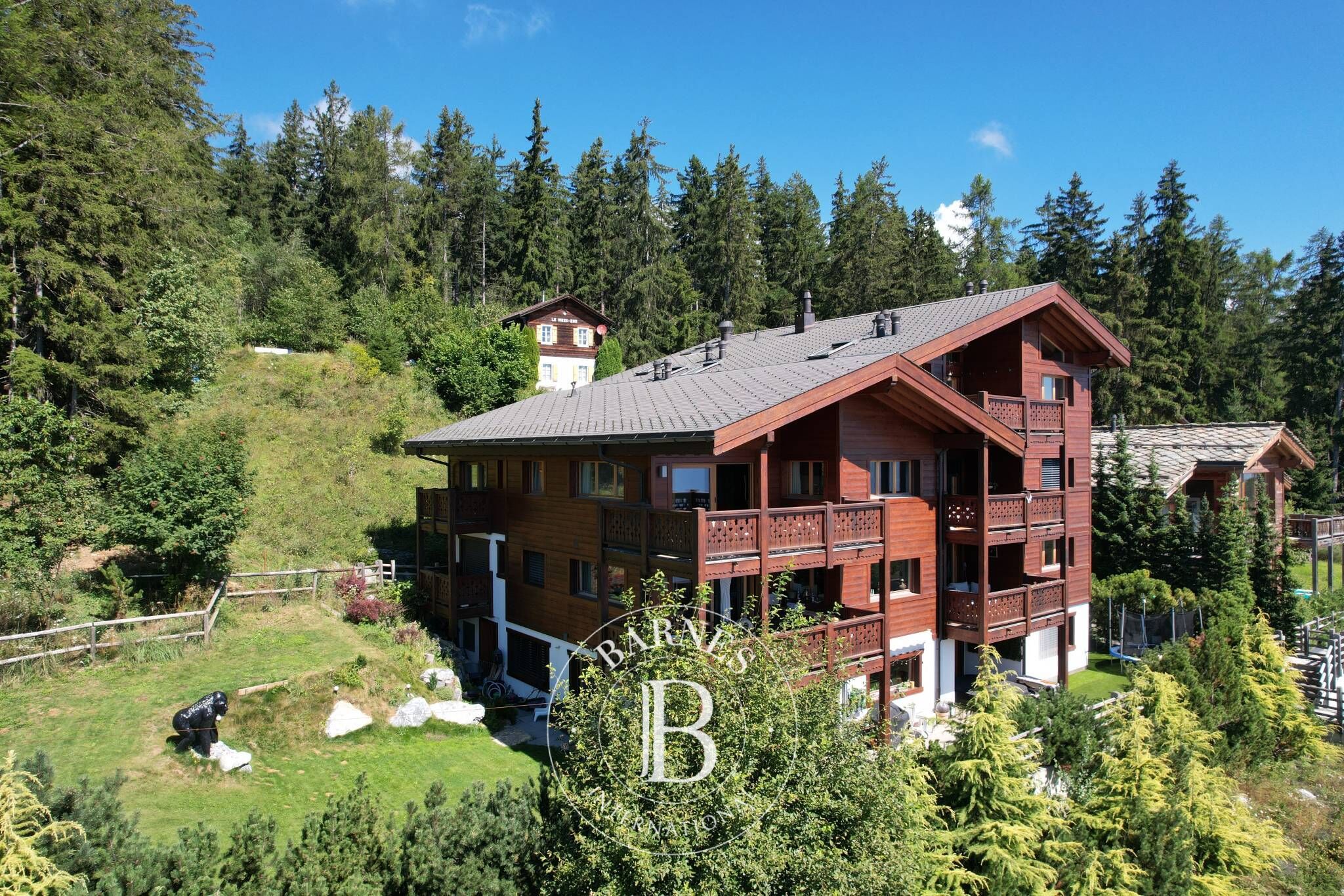 Cati kati Crans-Montana - picture 4