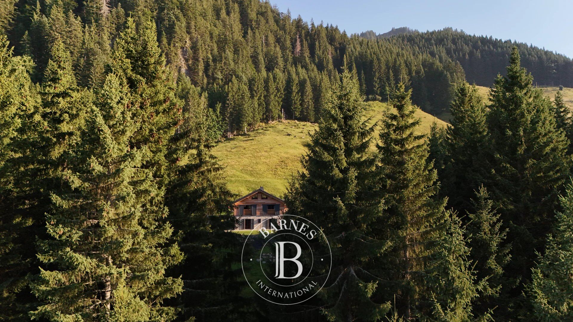 Dağ evi Essert-Romand - picture 20