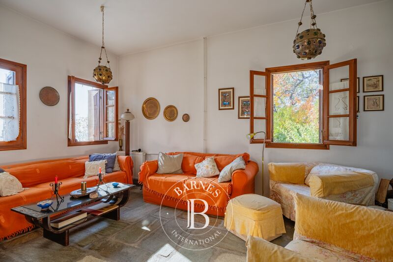 For Sale House | Magnesia - picture 3