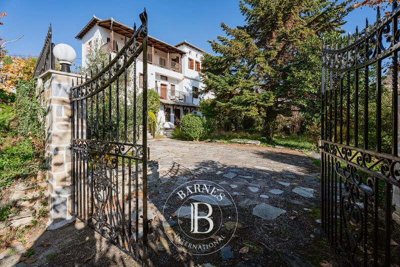 For Sale House | Magnesia - picture 2