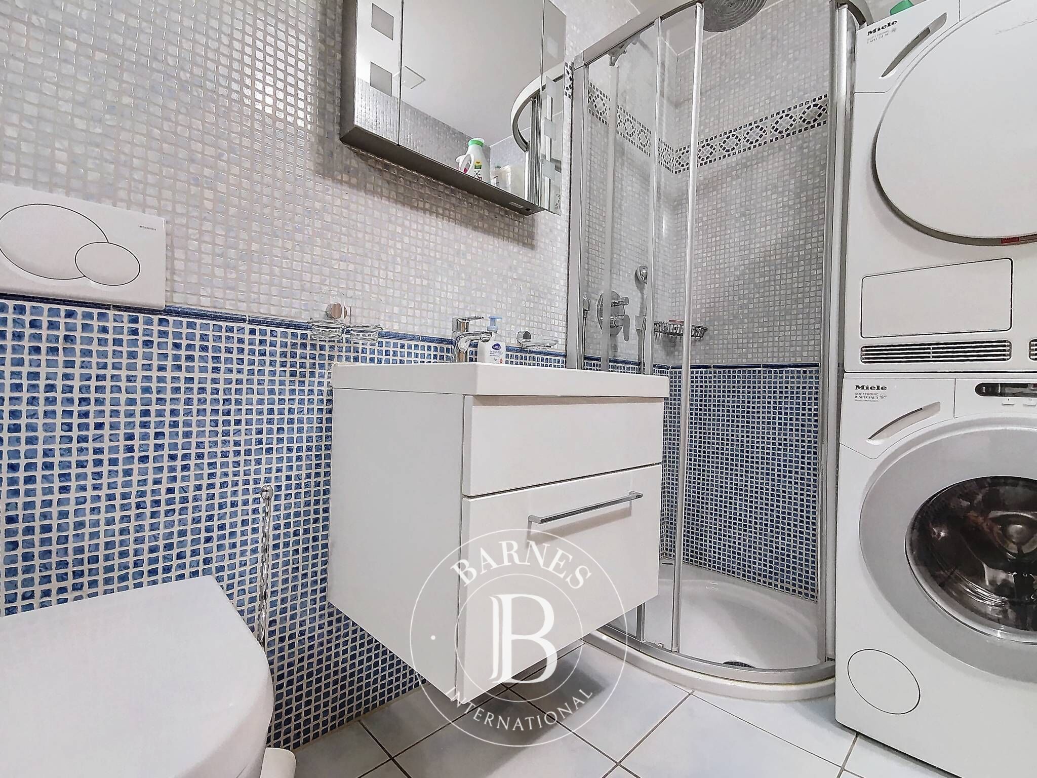 Daire Bouveret - picture 30