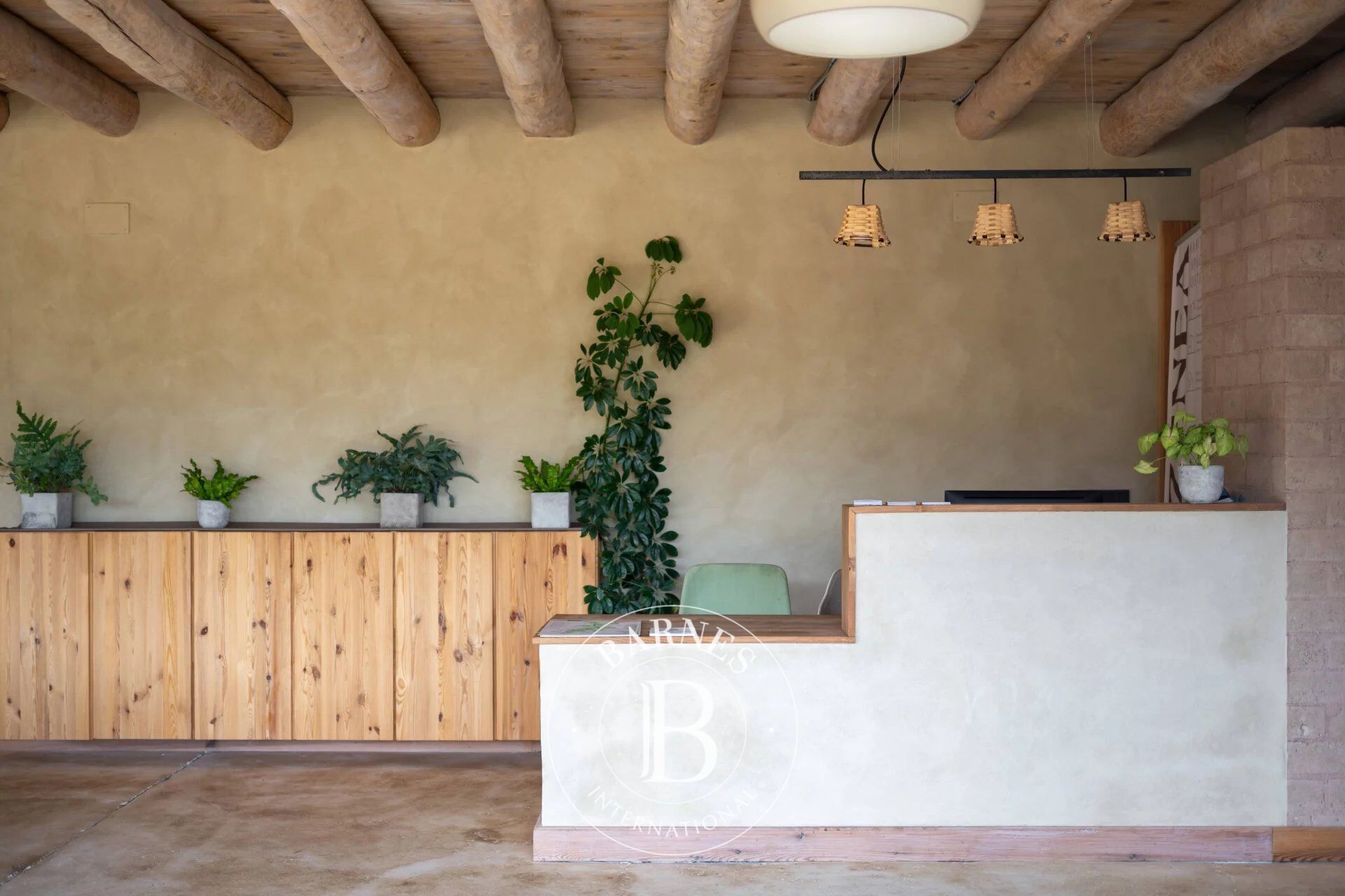 Mülkiyet Zubiri - picture 16