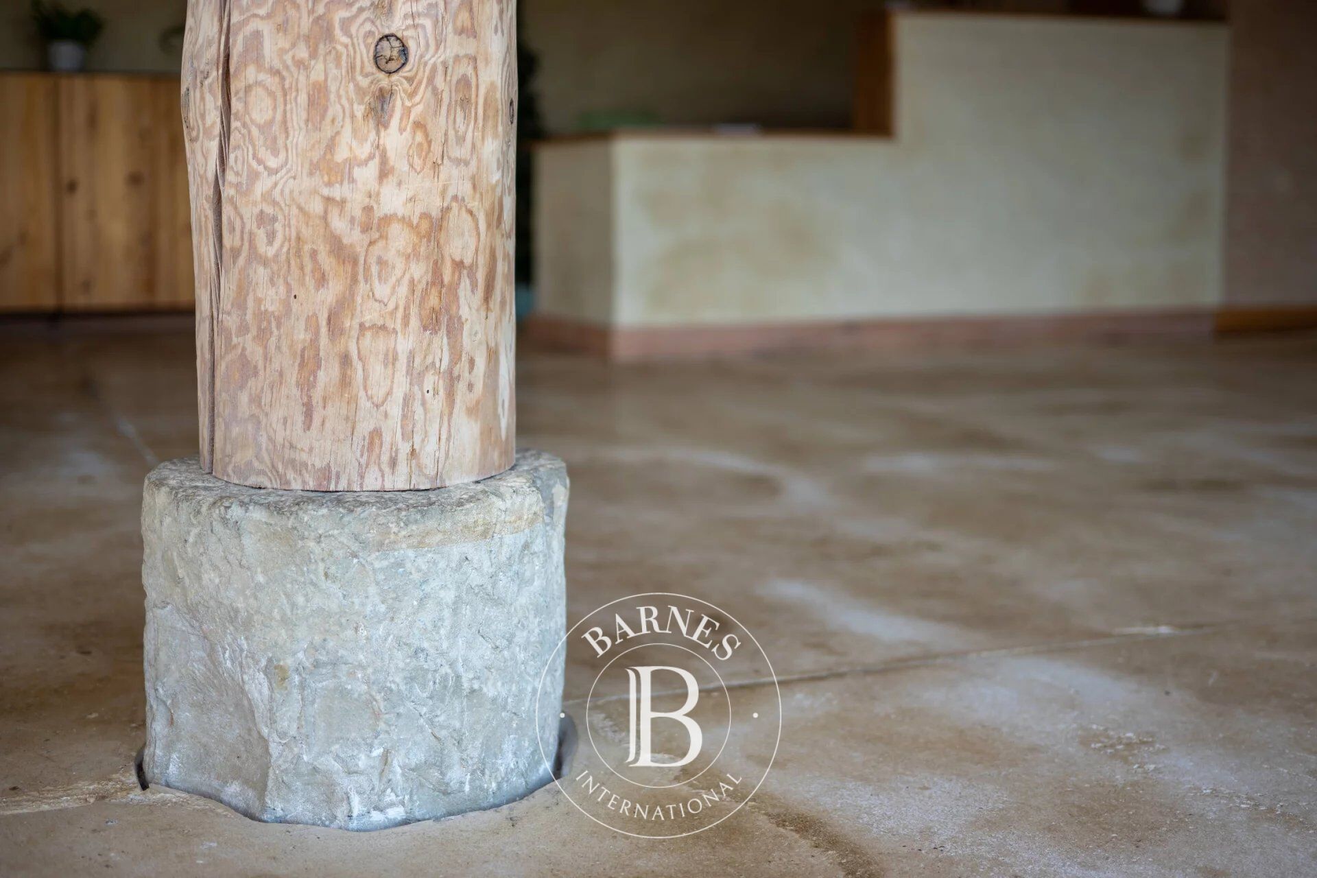 Mülkiyet Zubiri - picture 30