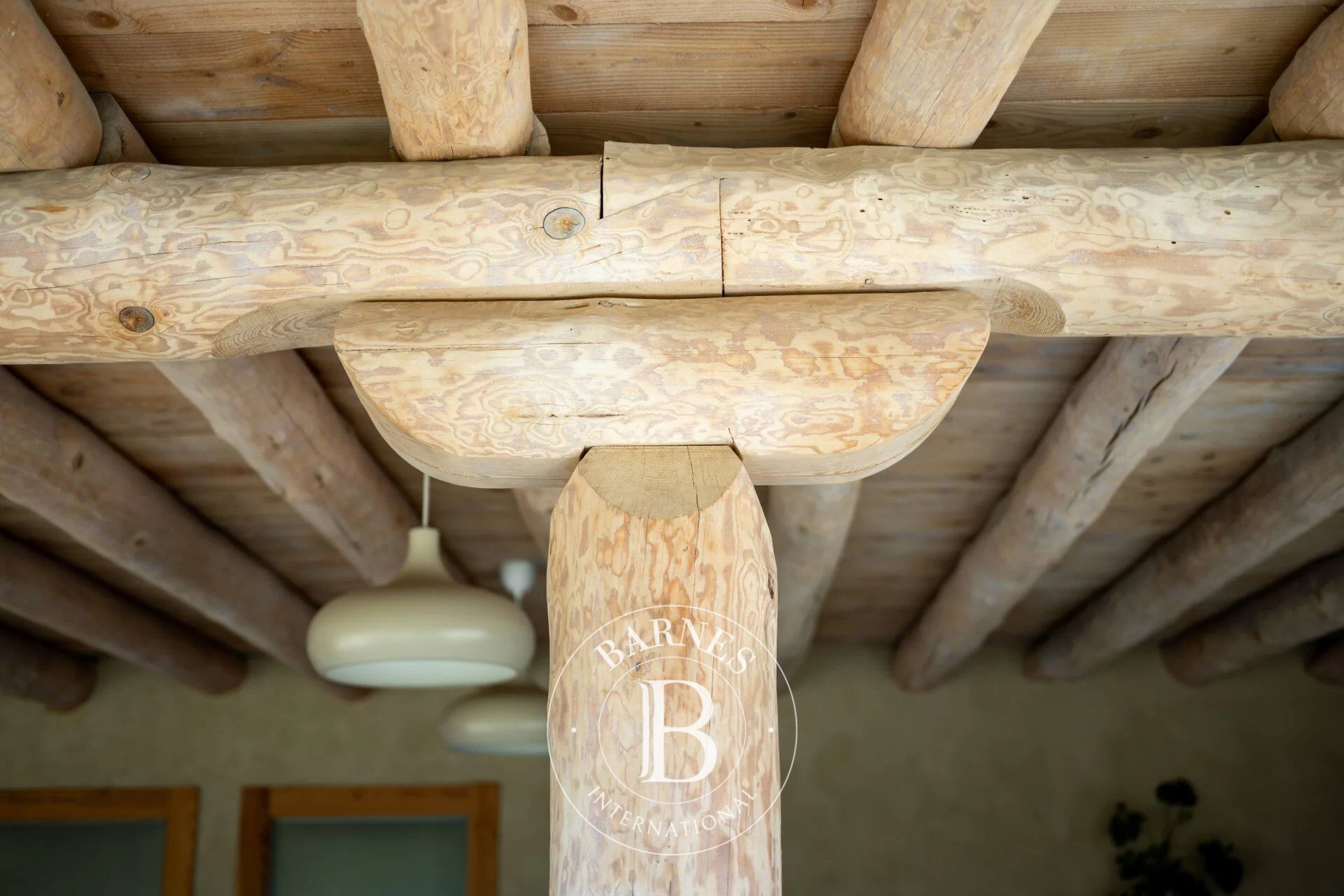 Mülkiyet Zubiri - picture 27