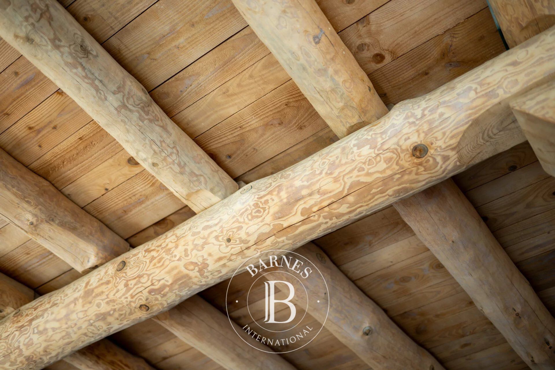 Mülkiyet Zubiri - picture 26