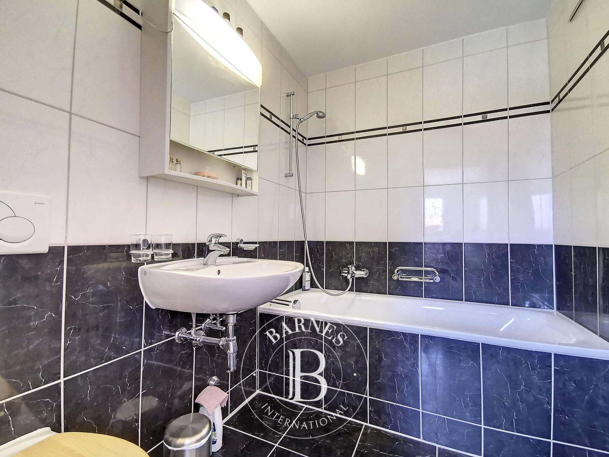 Daire Bouveret - picture 27