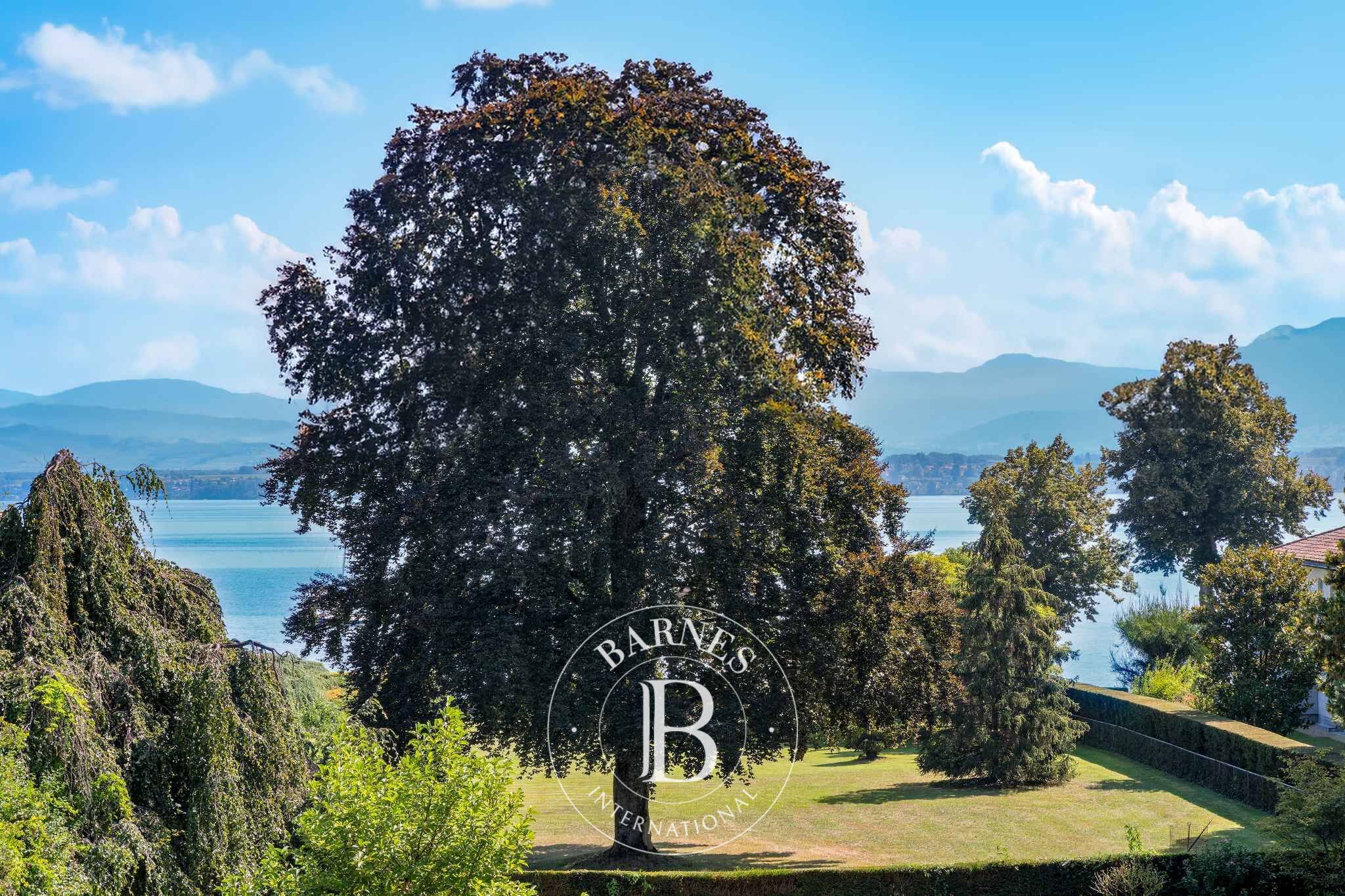 Villa Versoix - picture 5