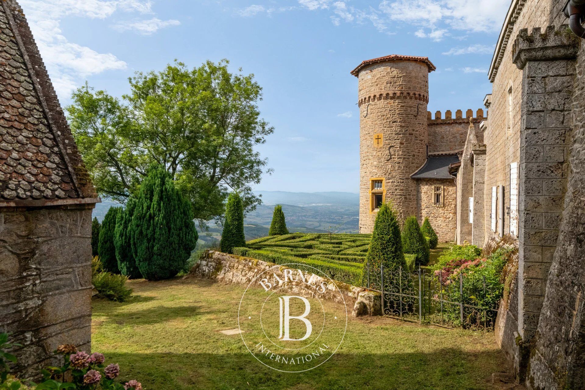 Castello Courzieu - picture 3