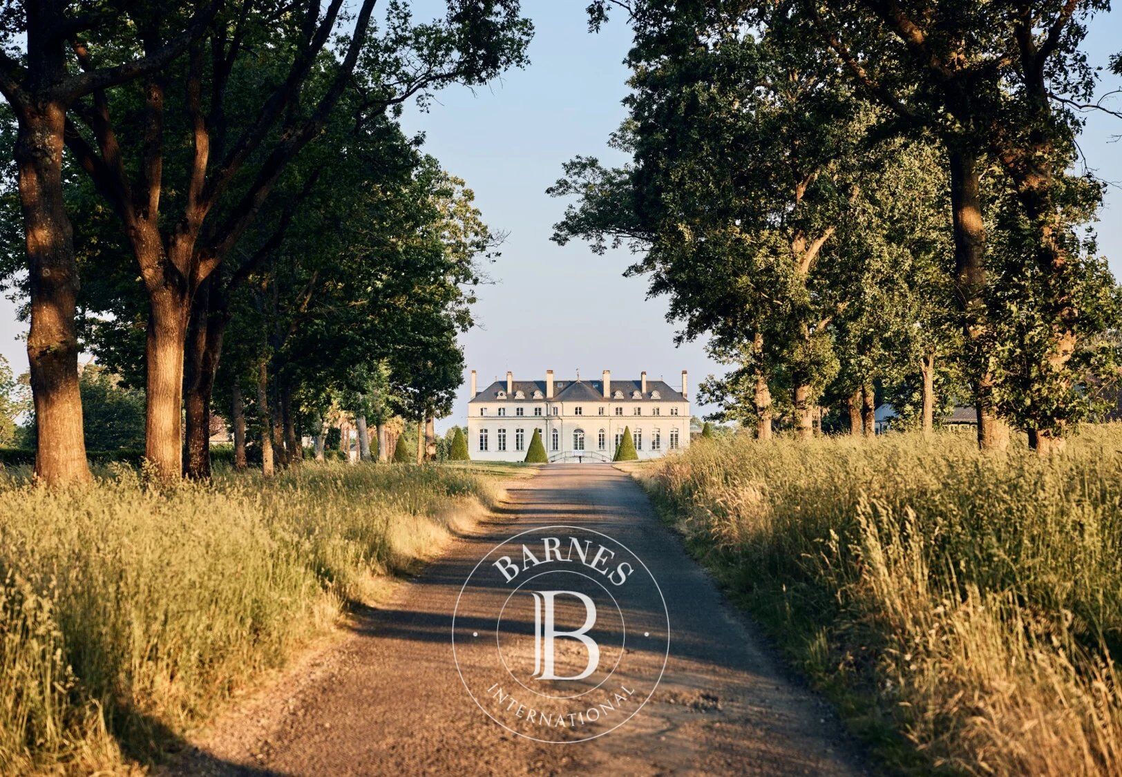 Loire-Atlantique - Propriété équestre - 128 hectares - picture 1