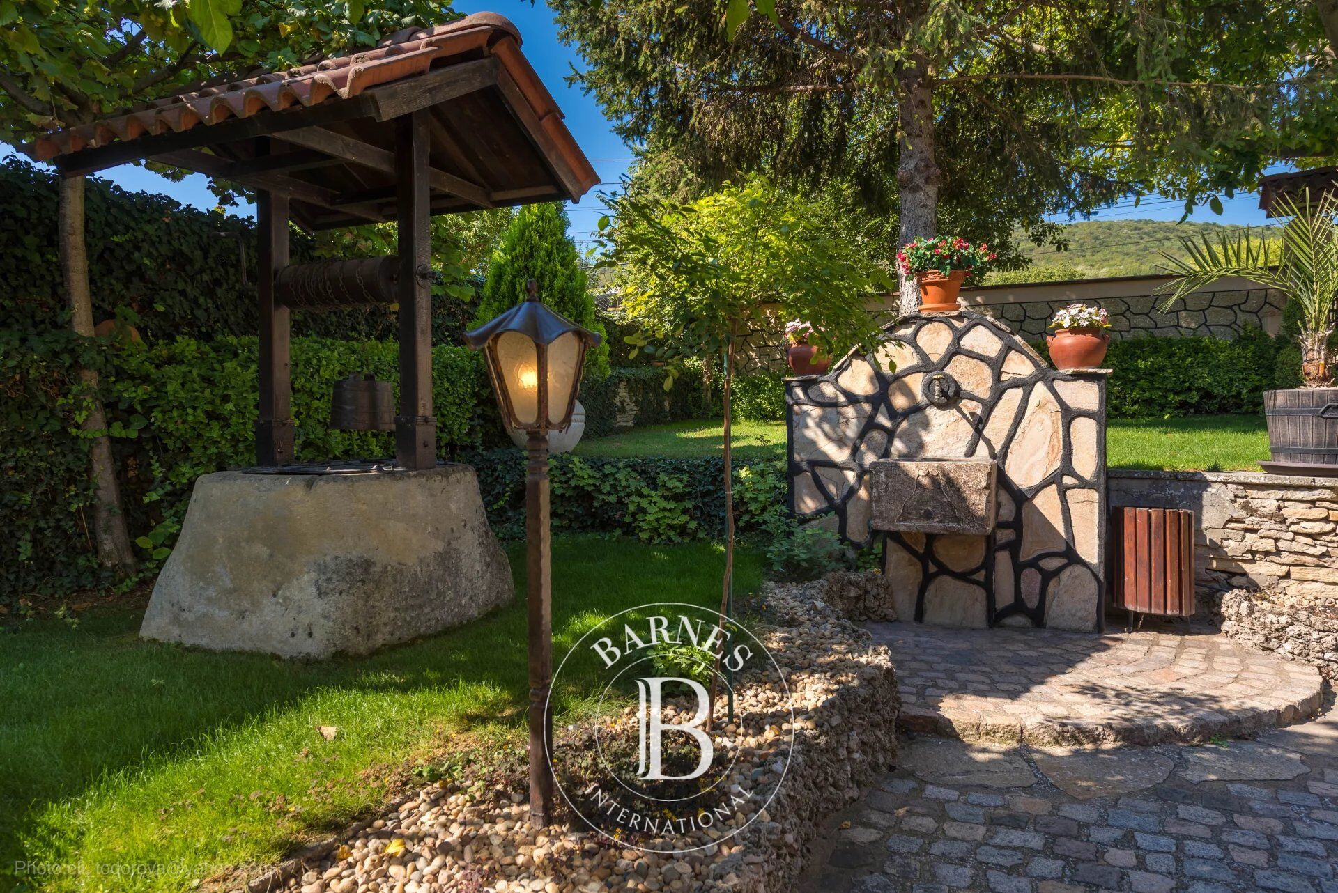 Ev Devnya - picture 26