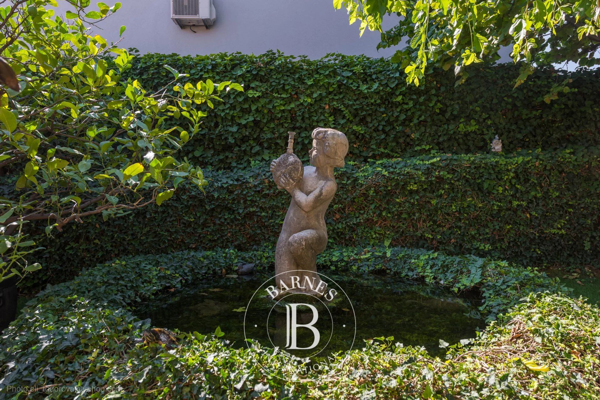 Ev Devnya - picture 29