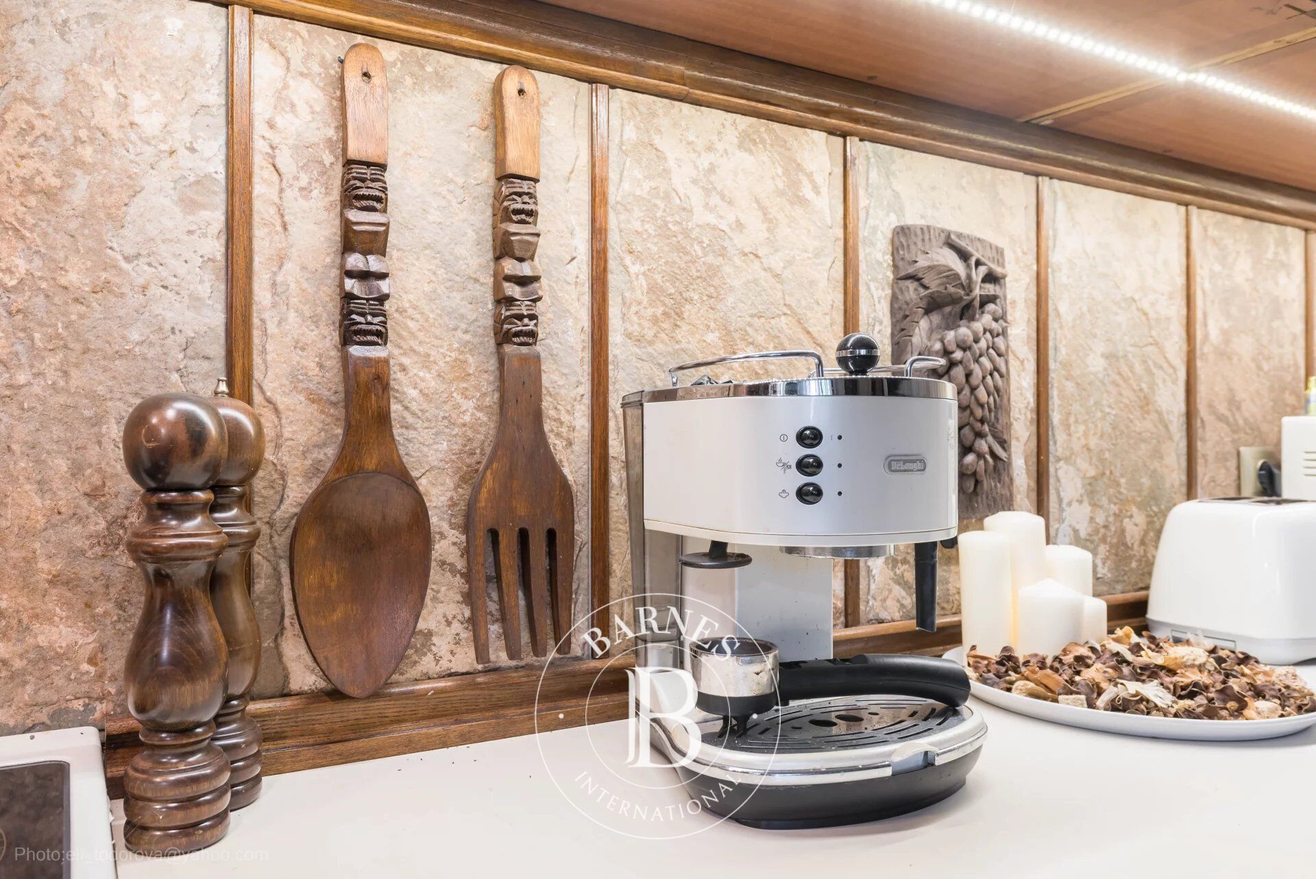 Ev Devnya - picture 4